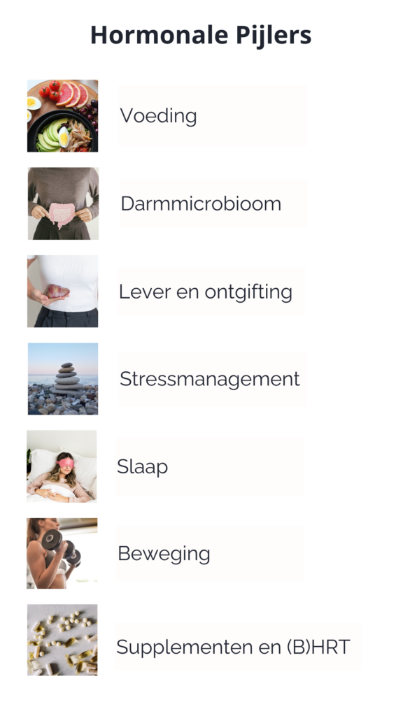 hormonale pijlers