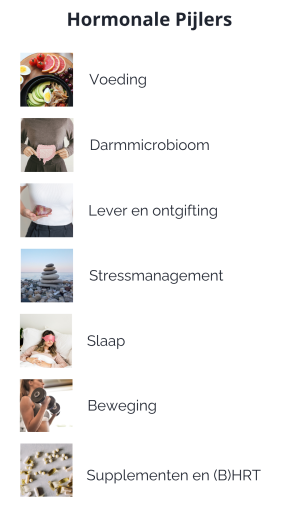 hormonale pijlers